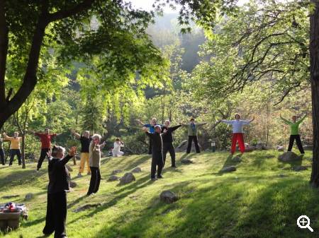 Gemeinsame QiGong-Übungen in der Natur